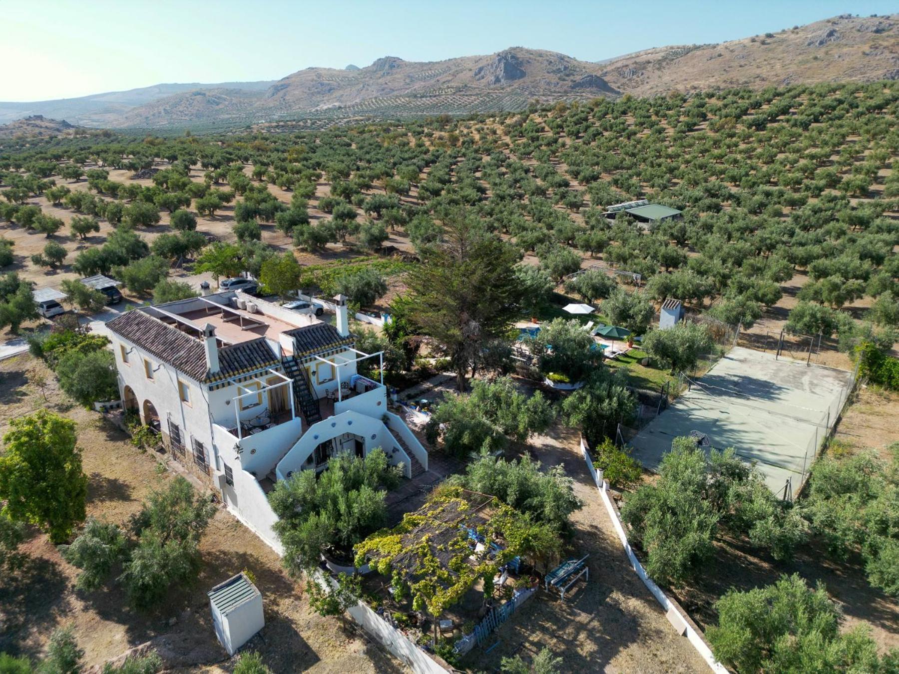 Agroturismo Ecologico El Cortijillo Luque Εξωτερικό φωτογραφία