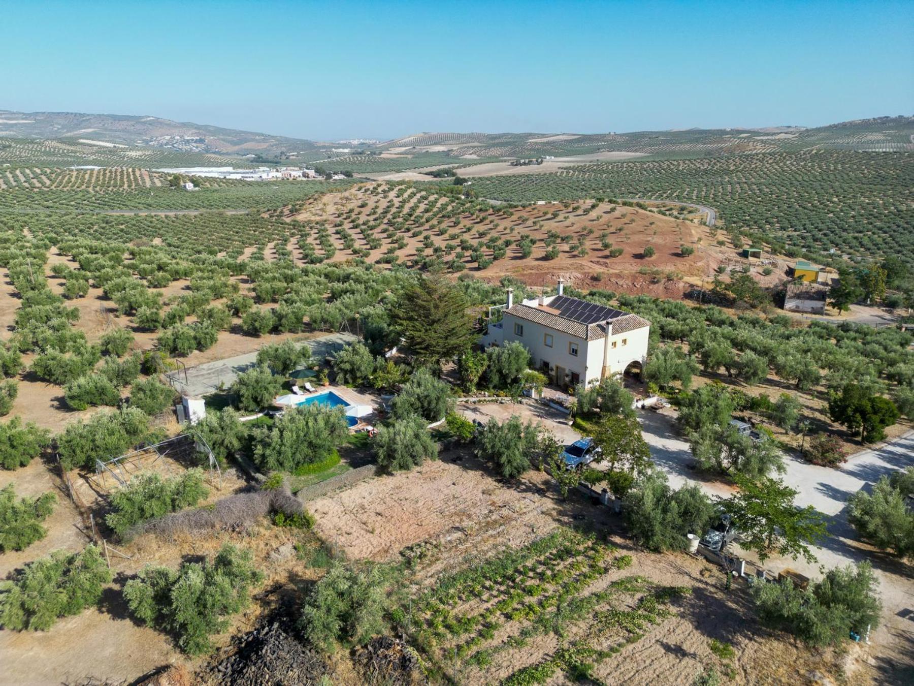 Agroturismo Ecologico El Cortijillo Luque Εξωτερικό φωτογραφία