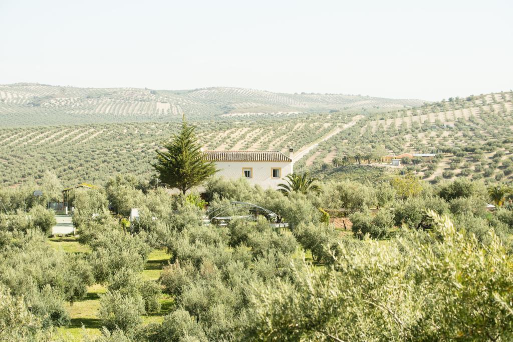 Agroturismo Ecologico El Cortijillo Luque Εξωτερικό φωτογραφία