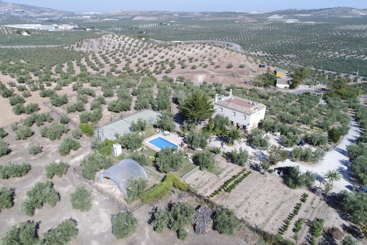 Agroturismo Ecologico El Cortijillo Luque Εξωτερικό φωτογραφία