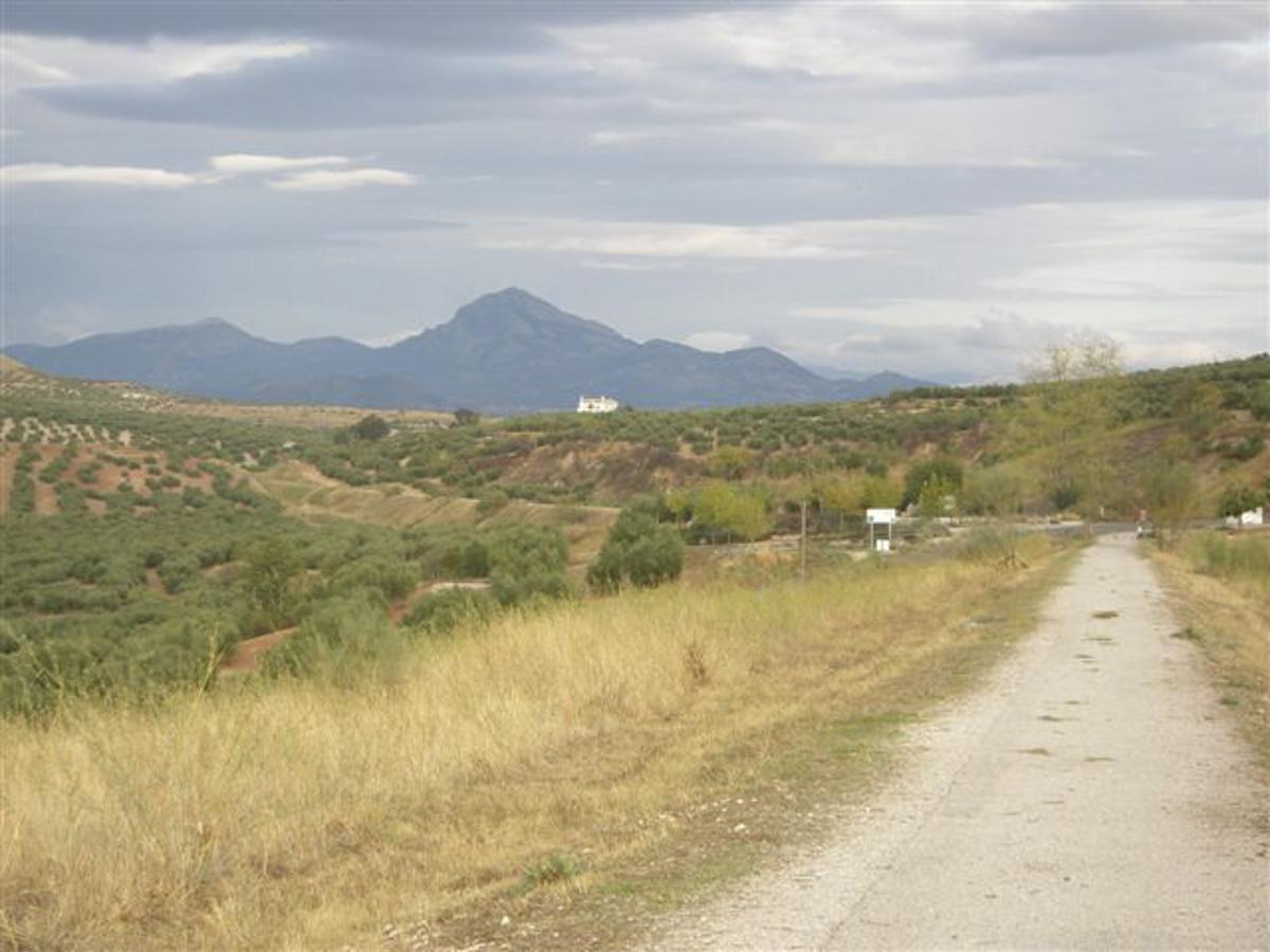 Agroturismo Ecologico El Cortijillo Luque Εξωτερικό φωτογραφία